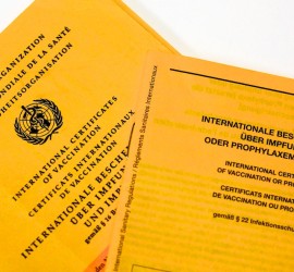 Bali Impfungen Tollwut Dengue Fieber Malaria