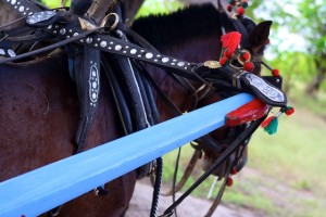 Gili-Inseln-Pferdekutsche