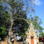 Tempel Nusa Lembongan Bali