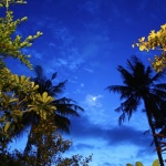 Gili Inseln Bungalow