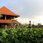 Ubud Hotel