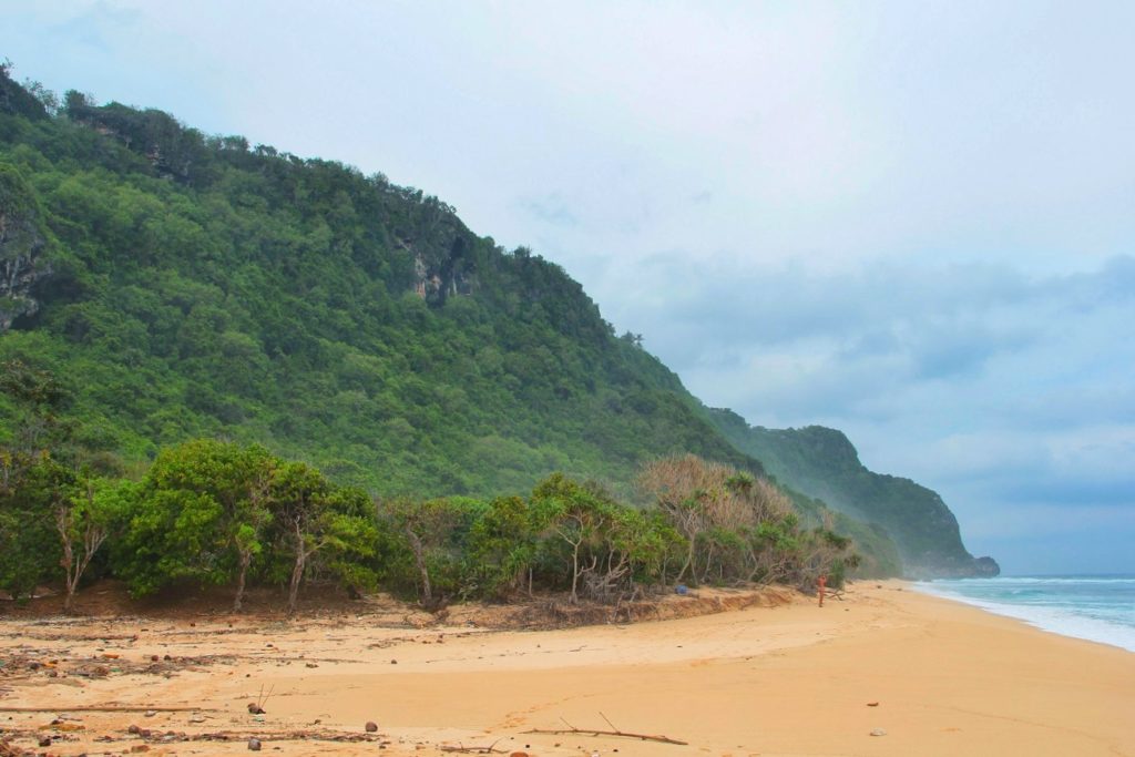 Vor Steilküste liegt der Nunggalan Beach. Dschungel im Rücken und gelber Sand unter den Füßen.